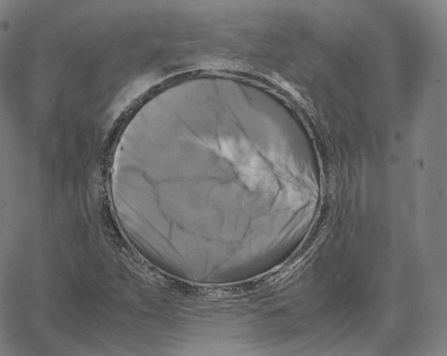 X0000062621263200601181645