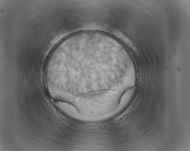 X0000062621264200601181645