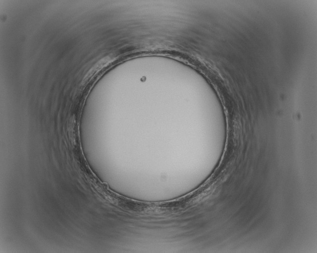 X0000062621265200601181645