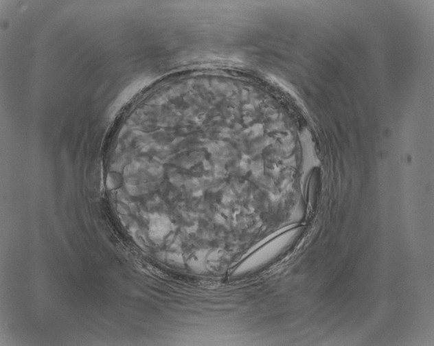 X0000062621267200601181645