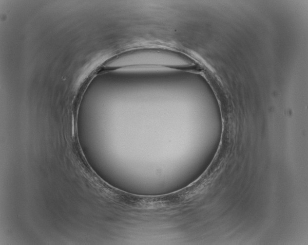 X0000062621269200601181645