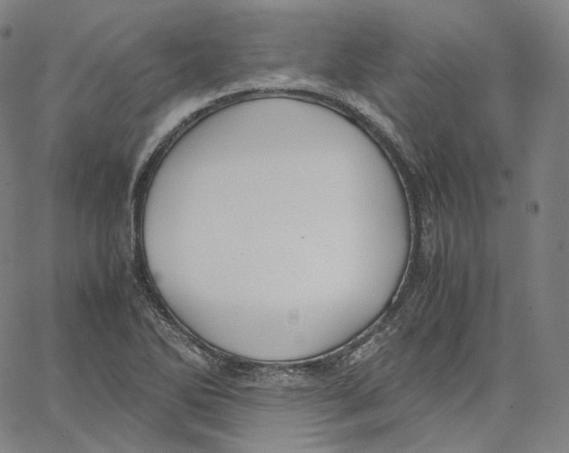 X0000062621270200601181645