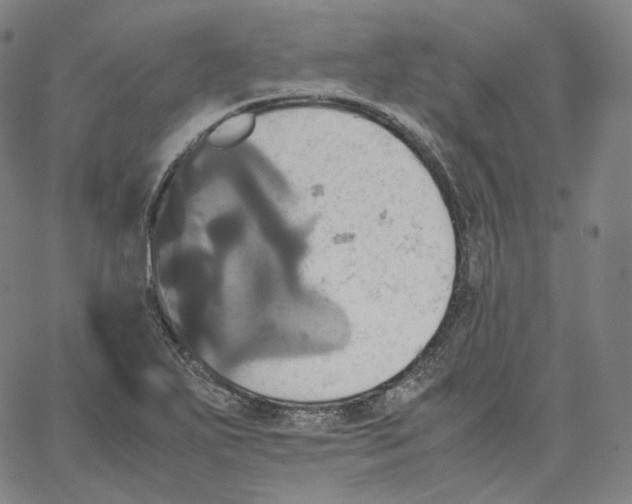 X0000062621271200601181645