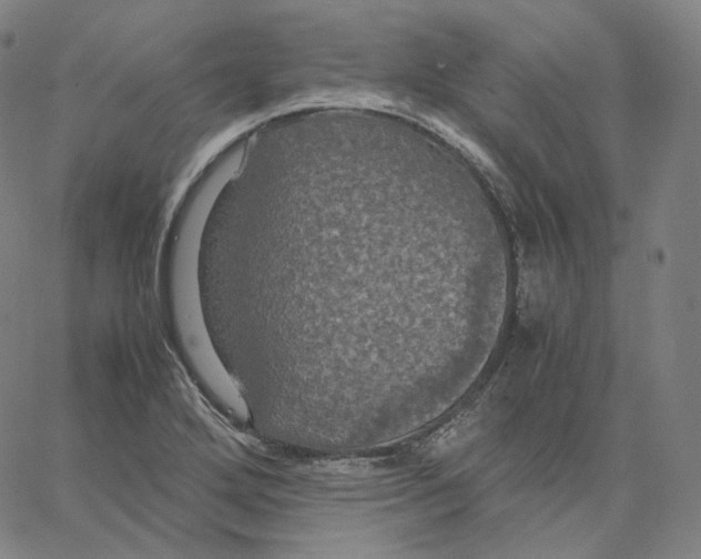 X0000062621272200601181645