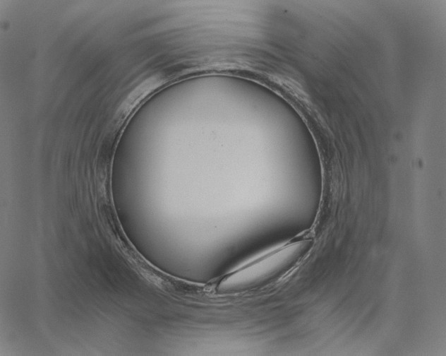 X0000062621273200601181645