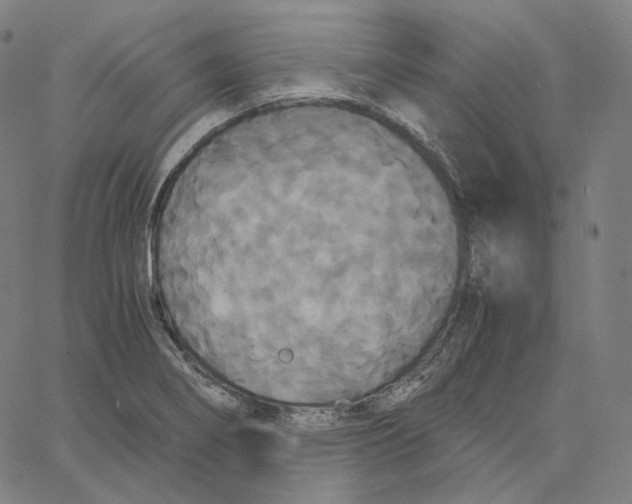 X0000062621274200601181645