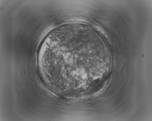 X0000062621275200601181645