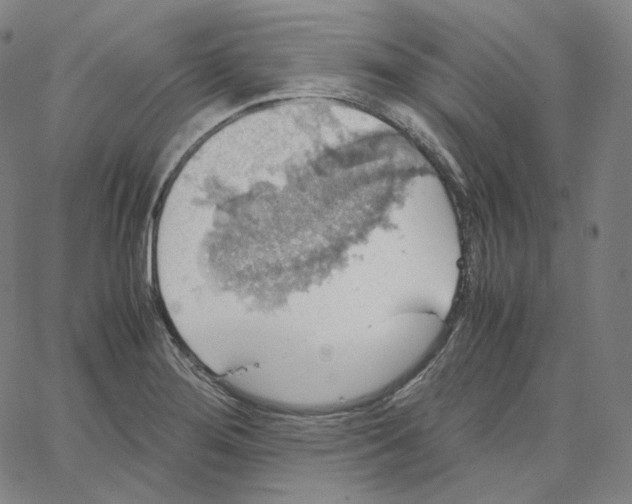 X0000062621276200601181645