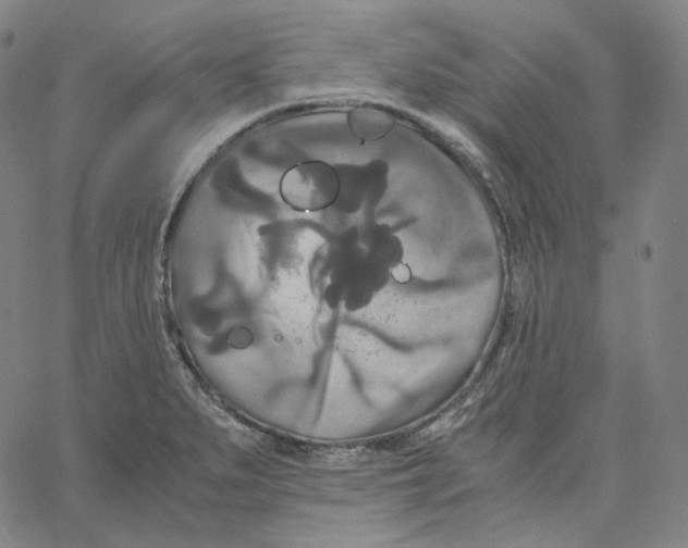 X0000062621279200601181645