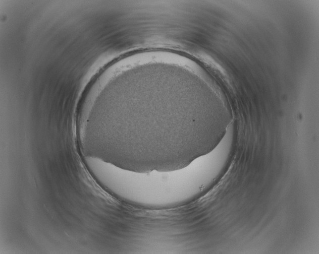 X0000062621280200601181645