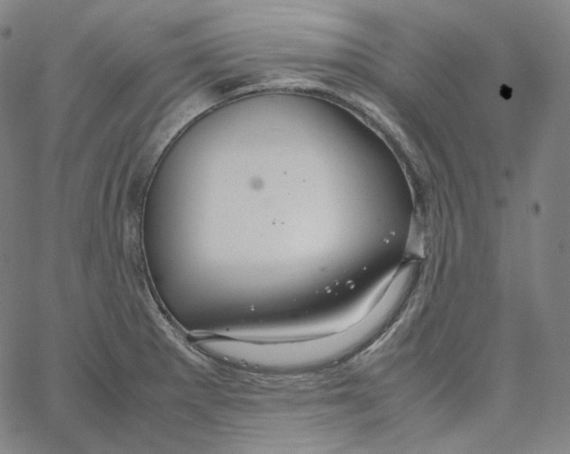 X0000062621281200601181645