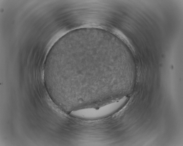 X0000062621284200601181645