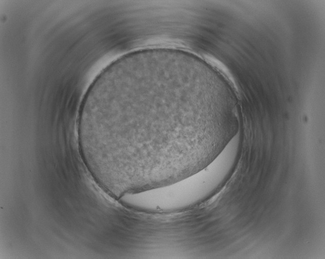 X0000062621288200601181645