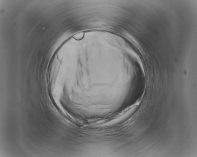 X0000062621291200601181645