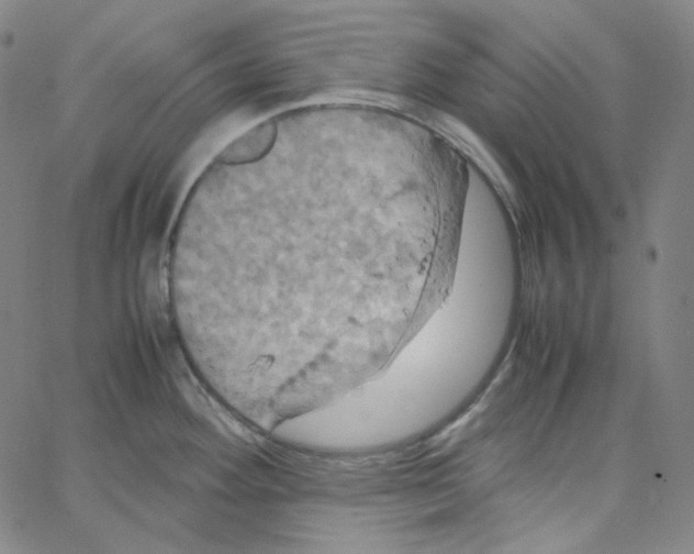 X0000062621292200601181645