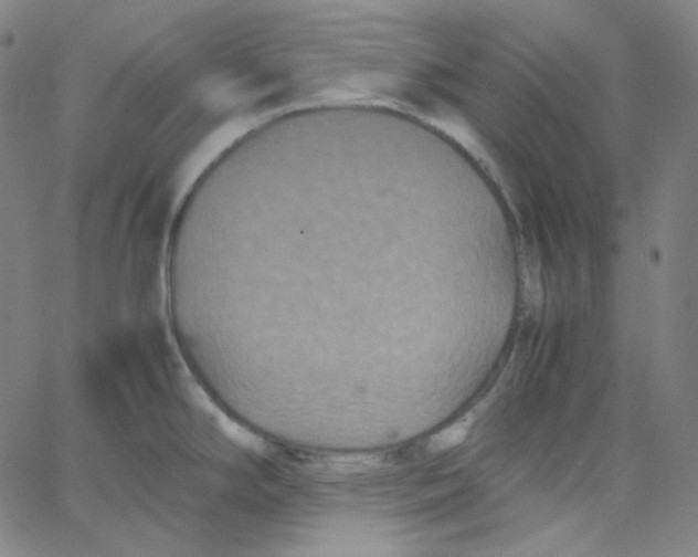 X0000062621294200601181645