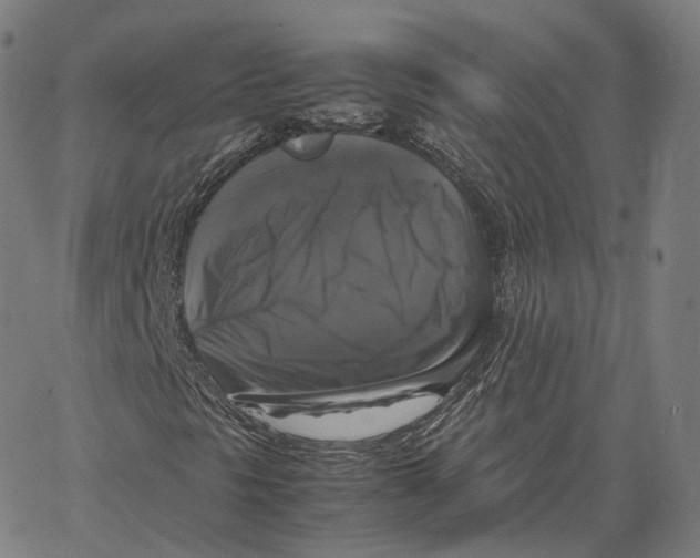 X0000062621297200601181644