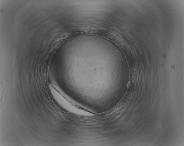 X0000062621298200601181644