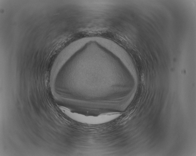 X0000062621300200601181644