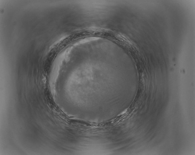 X0000062621302200601181644