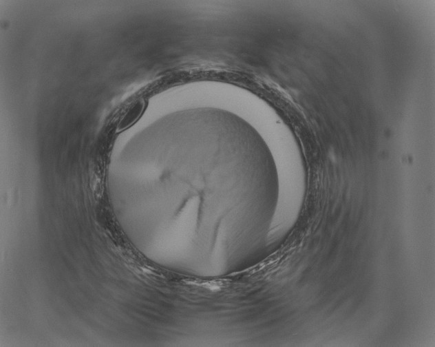 X0000062621303200601181644