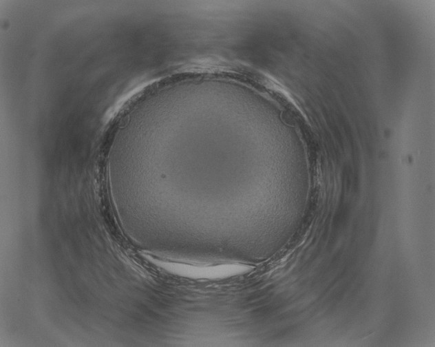 X0000062621304200601181644