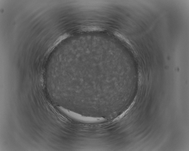 X0000062621305200601181644