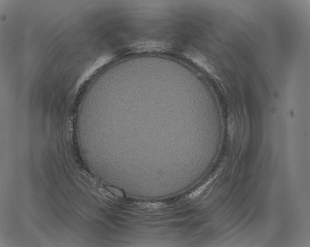 X0000062621309200601181644