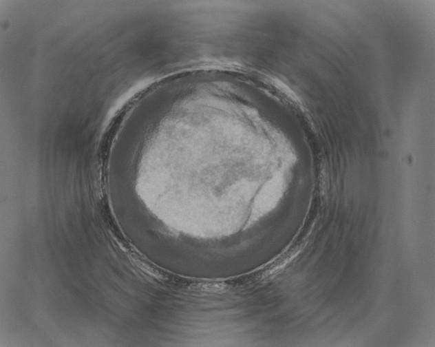 X0000062621310200601181644