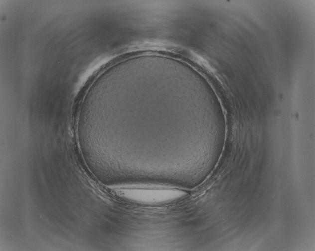 X0000062621312200601181644