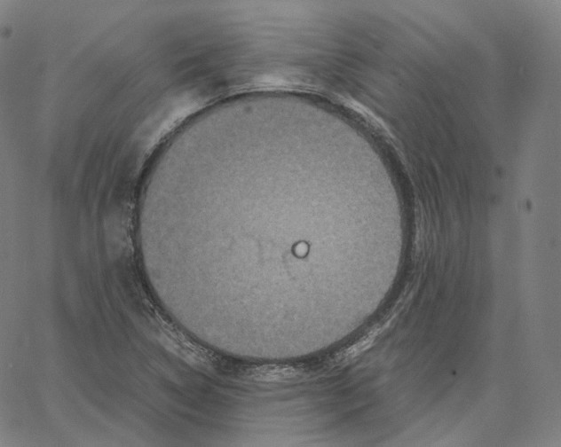 X0000062621314200601181644