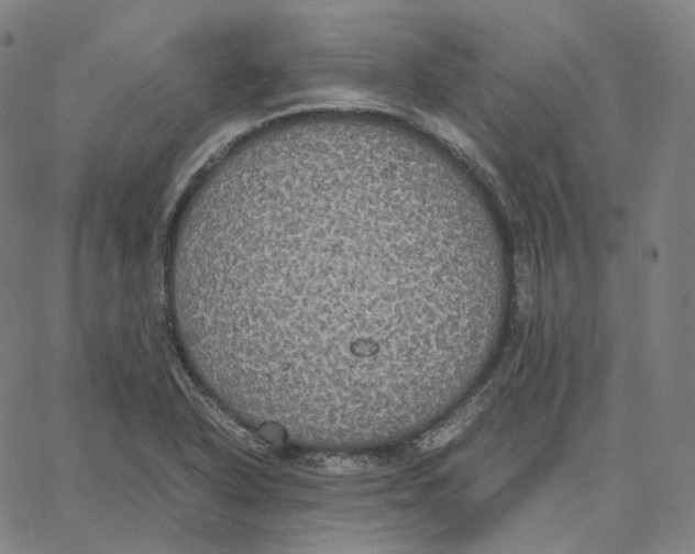 X0000062621318200601181645