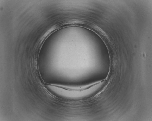 X0000062621321200601181645