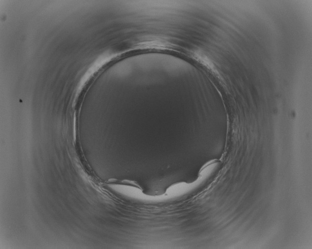 X0000062621323200601181645