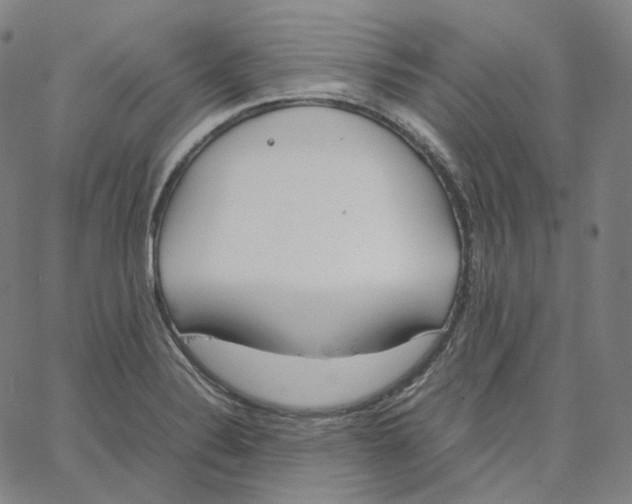 X0000062621324200601181645