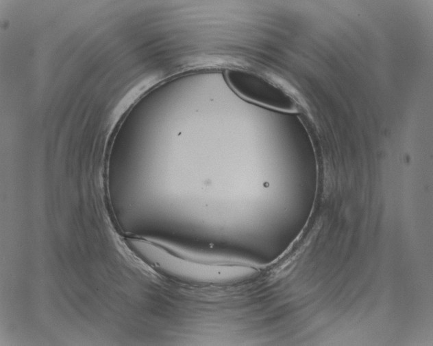 X0000062621330200601181645