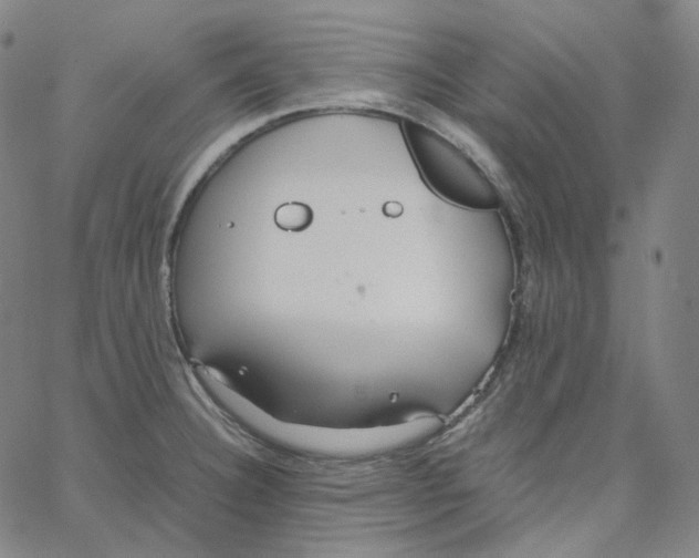 X0000062621332200601181645