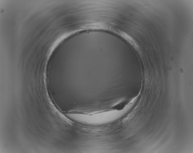 X0000062621334200601181645