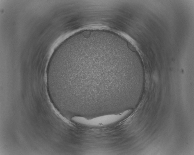 X0000062621335200601181645