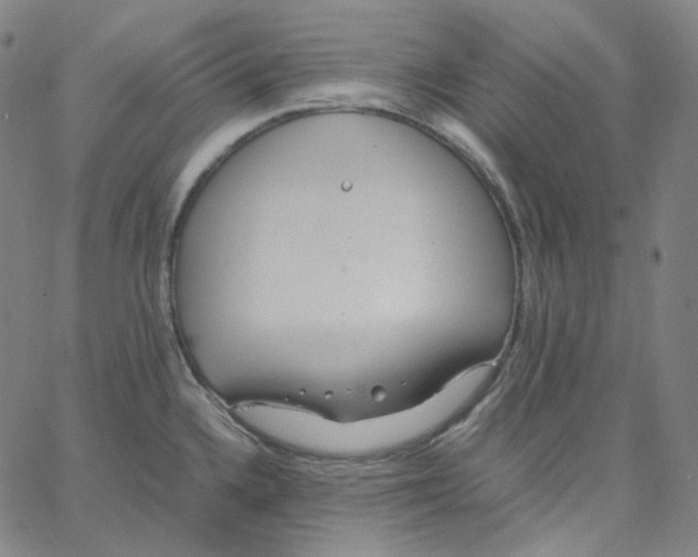 X0000062621336200601181645