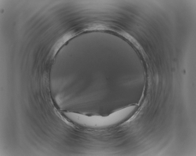 X0000062621337200601181645