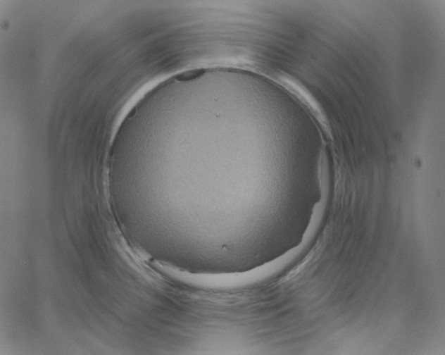 X0000062621340200601181645