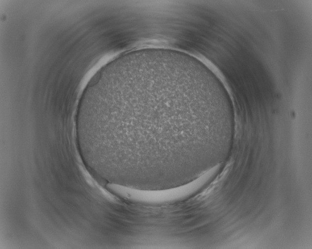 X0000062621341200601181645