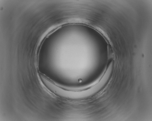 X0000062621342200601181645