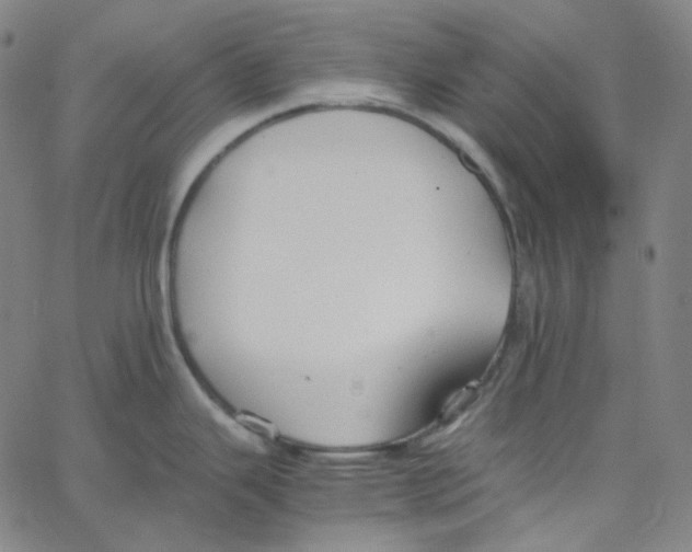 X0000062621343200601181645