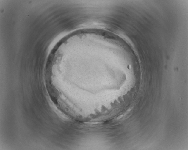 X0000062621344200601181645