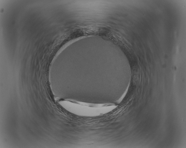 X0000062621345200601181644