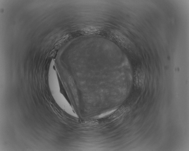 X0000062621346200601181644