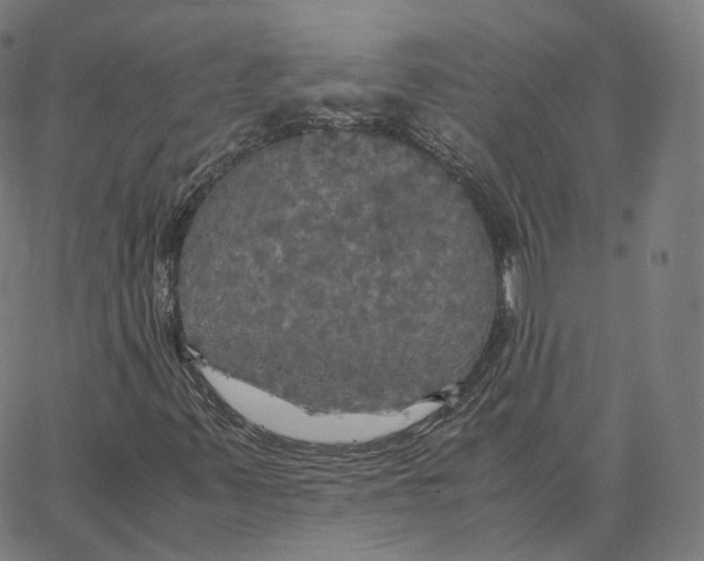 X0000062621347200601181644