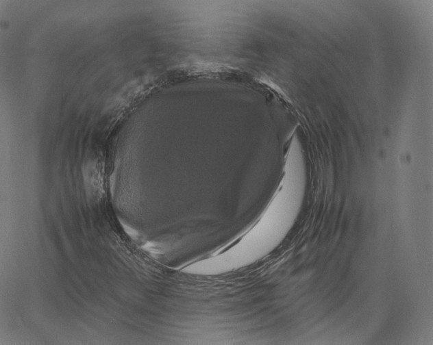 X0000062621348200601181644